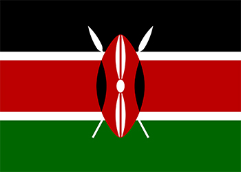 Kenyan Campaign Materials